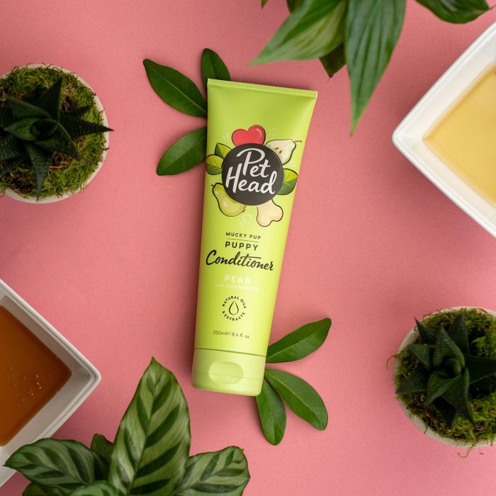 Pet Head Mucky Puppy Acondicionador Suavizante para Cachorros 250ml Piel Delicada 2 Pet Head Mucky Puppy Acondicionador Suavizante para Cachorros 250ml Piel Delicada 2