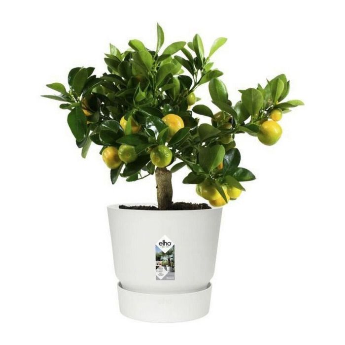 Maceta redonda ELHO Greenville 30 - Exterior - Ø 29.5 x H 27.8 cm - Blanco 2