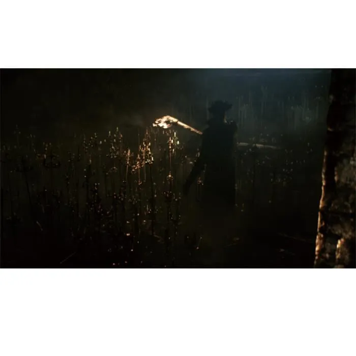 Sony Computer Entertainment Bloodborne Juego de PS4 1