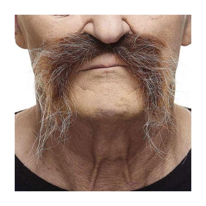Bigote única Bigote única