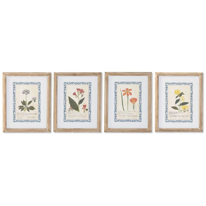 Cuadro Shabby DKD Home Decor Multicolor 2.5 x 50 x 40 cm (4 Unidades) Cuadro Shabby DKD Home Decor Multicolor 2.5 x 50 x 40 cm (4 Unidades)