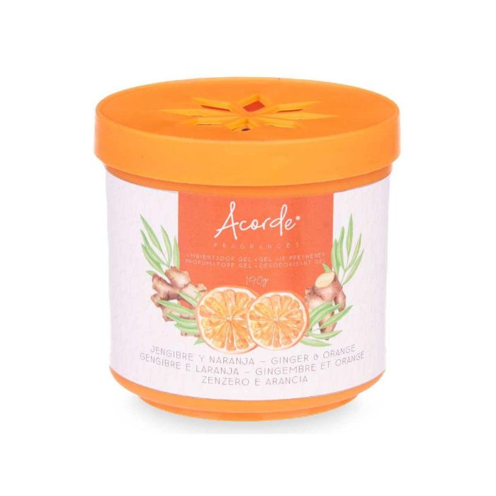 Ambientador Naranja Jengibre 190 g (24 Unidades) 1