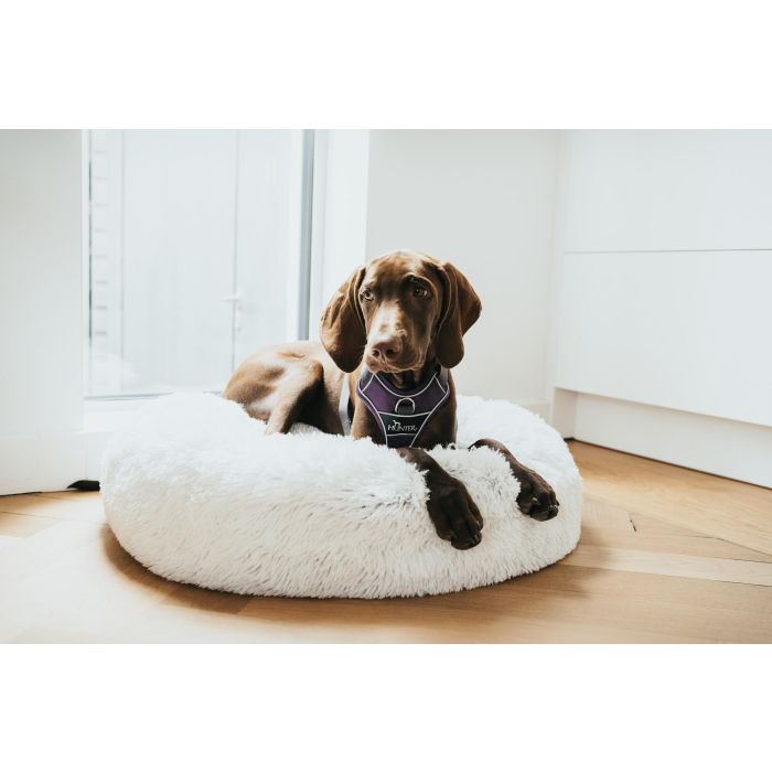 Arnés para Perro Hunter Divo Morado L/XL 79-107 cm 6 Arnés para Perro Hunter Divo Morado L/XL 79-107 cm 6