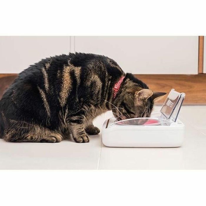 SUREFLAP Dispensador automático de alimentos - recipiente hermético SureFeed - para gatos y perros pequeños 2 SUREFLAP Dispensador automático de alimentos - recipiente hermético SureFeed - para gatos y perros pequeños 2