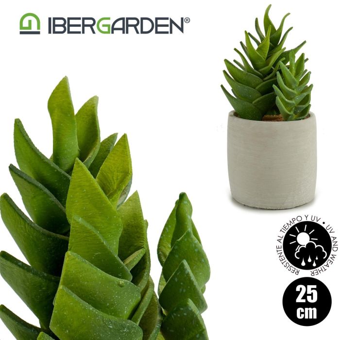 Cactus Plástico Echeveria 25 cm - Ibergarden (6 Unidades) 3 Cactus Plástico Echeveria 25 cm - Ibergarden (6 Unidades) 3
