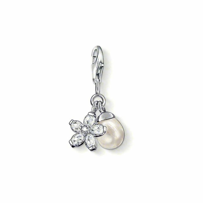 Charm Mujer Thomas Sabo 0767-167-14 Gris 30 mm Charm Mujer Thomas Sabo 0767-167-14 Gris 30 mm