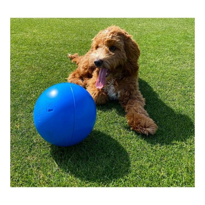 Company Of Animals Boomer Ball 20 cm - Pelota de Polietileno Súper Resistente para Perros Destructores, Juego y Ejercicio 1