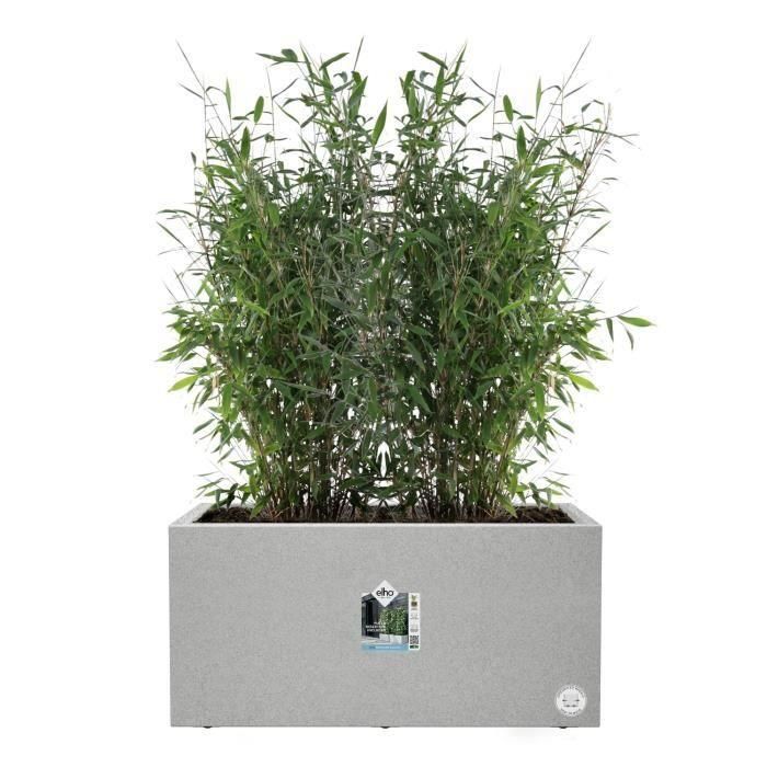 Jardinera Elho Vivo Next Long 60 - Gris - L 59 x B 30 x H 29 cm - interior/exterior - 100% reciclado 2