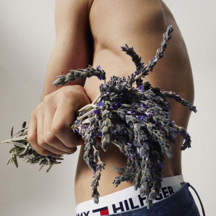 Perfume Hombre Tommy Hilfiger Tommy EDT 30 ml 3