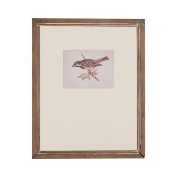 Cuadro Impresión Pájaros 2/M 43 X 2 X 53 cm