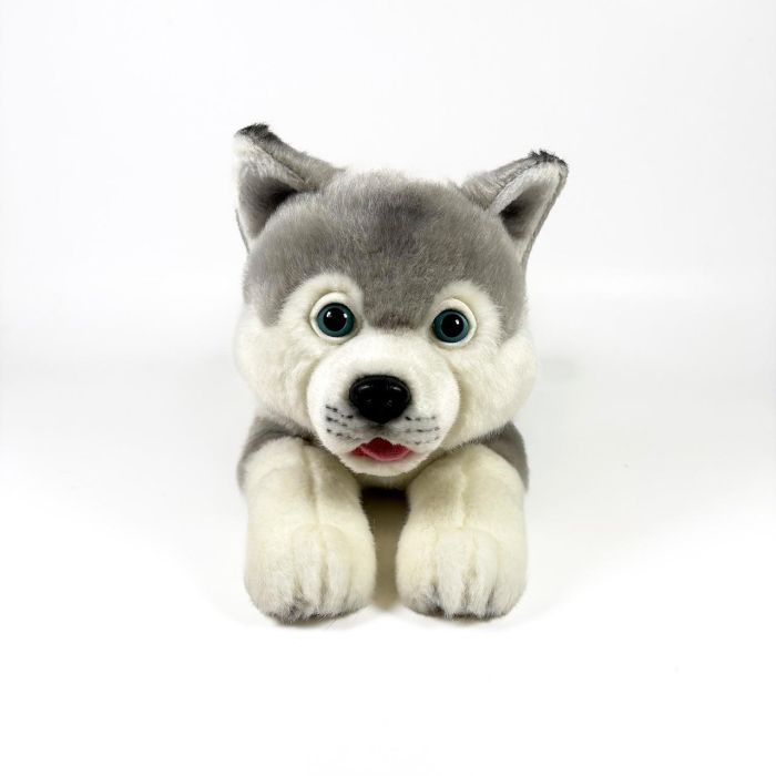 Peluche Husky Tumbado 25Cm 939D00295 Bocalan 2 Peluche Husky Tumbado 25Cm 939D00295 Bocalan 2