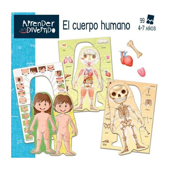 Juego aprender es divertido el cuerpo humano 12 Juego aprender es divertido el cuerpo humano 12