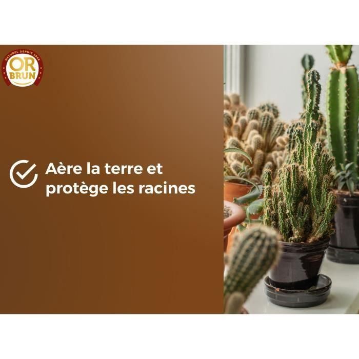 Sustrato para cactus y plantas suculentas - BROWN GOLD - OBRTCAC6U - 6L - Promueve el crecimiento 3 Sustrato para cactus y plantas suculentas - BROWN GOLD - OBRTCAC6U - 6L - Promueve el crecimiento 3