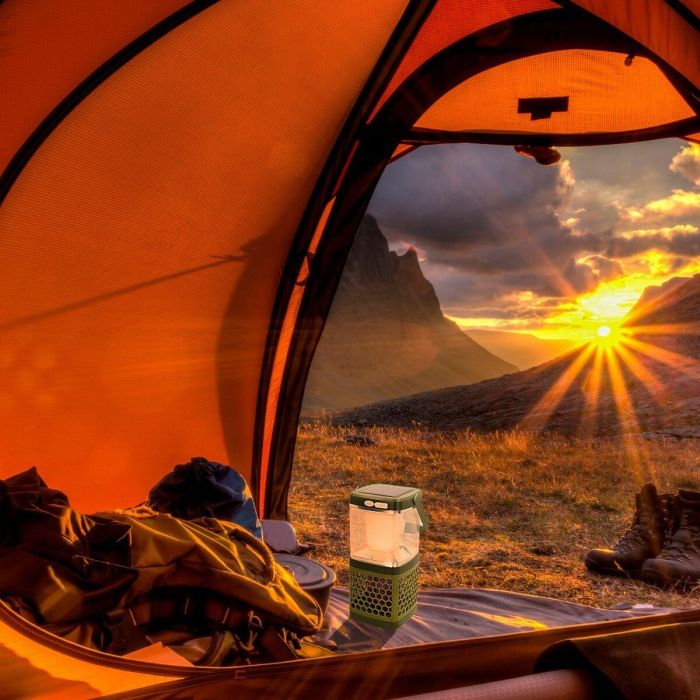 Lámpara Antimosquitos Aktive 10 x 21 x 10 cm (6 Unidades) 5