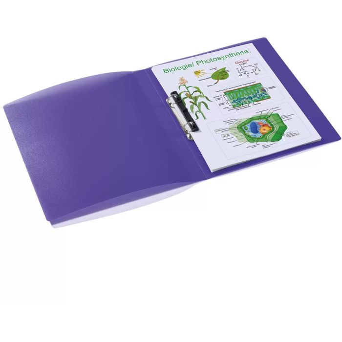 HERMA Ringbuch A4 uni violett 3 HERMA Ringbuch A4 uni violett 3