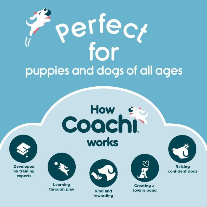 Coachi Training Dummy S de Lona Azul Oscuro, Juguete de Recuperación Flotante para Adiestramiento de Perros y Cachorros 3