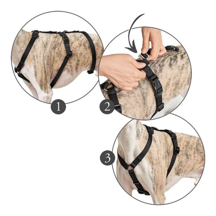 Arnés para Perro Hunter 48-70 cm Negro S/M 0 Arnés para Perro Hunter 48-70 cm Negro S/M 0