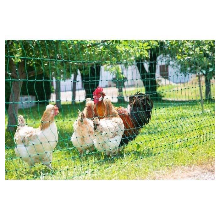 Red para aves de corral - KERBL - 15 m - 106 cm - Doble punta - Verde 1