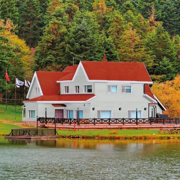 Pintura de Imprimación Bondex Gris Satinado 5 L 3