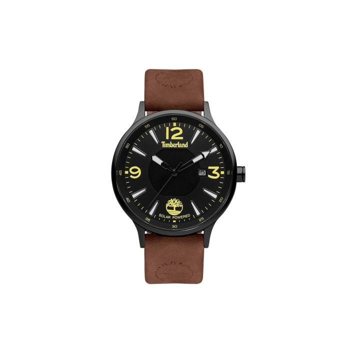 Reloj Hombre Timberland TDWGA2100902 (Ø 43 mm)