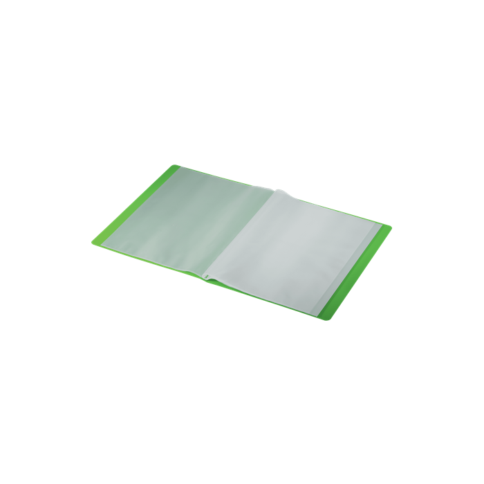 Leitz 46760055 Carpeta Polipropileno con 20 Fundas A4 Recycle Verde 3