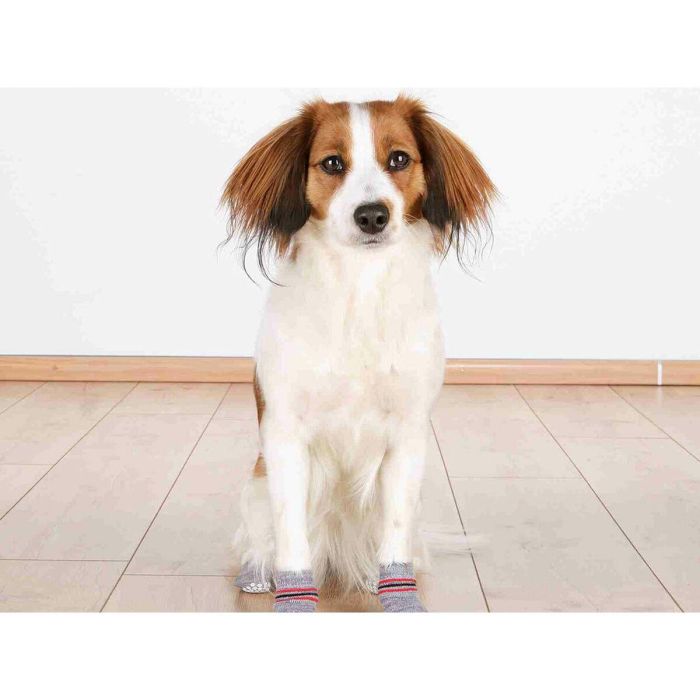 Calcetines Trixie Gris XL Perro 4 Calcetines Trixie Gris XL Perro 4