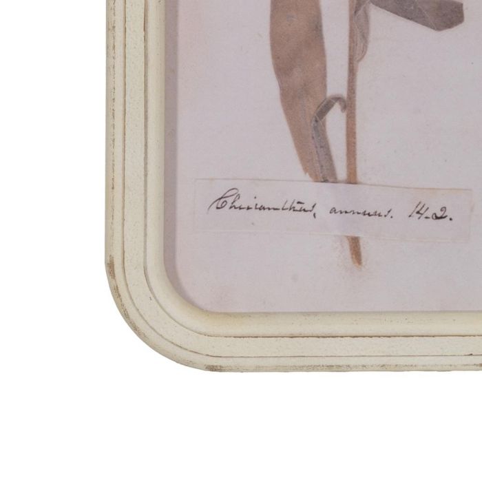 Cuadro Impresión Flores 4/M Dm-Cristal 25 X 2 X 50 cm