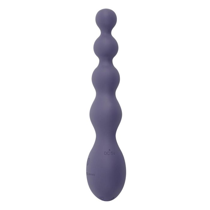 Vibrador Anal Negro Evolved Zero Tolerance Morado 14