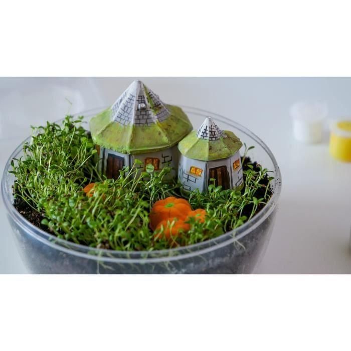 Terrario Harry Potter - Clementoni - Hagrid Hut para reproducir 4 Terrario Harry Potter - Clementoni - Hagrid Hut para reproducir 4