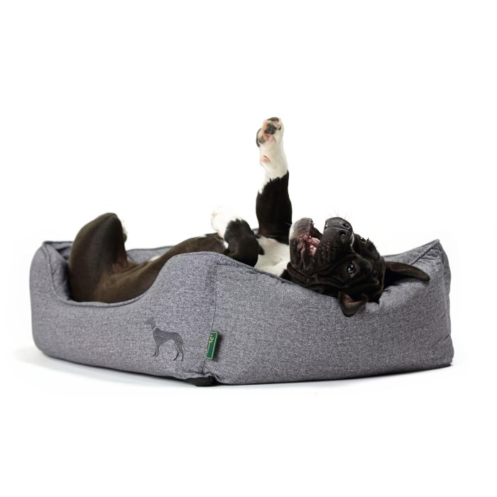 Hunter Sofá para Perros Boston 60x50 cm Gris Cómodo Clásico Diseño Actual Acogedor 0 Hunter Sofá para Perros Boston 60x50 cm Gris Cómodo Clásico Diseño Actual Acogedor 0