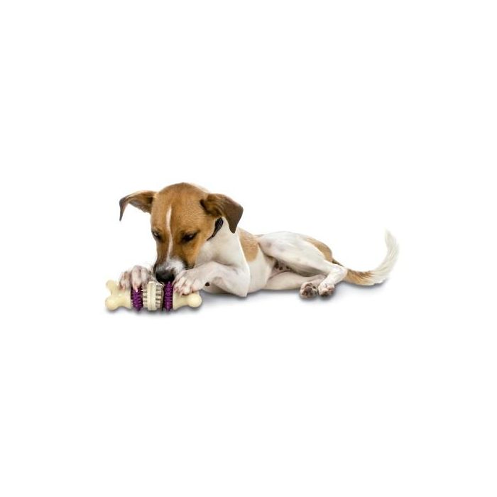 Petsafe Busy Buddy Bristle Bone Talla M 1