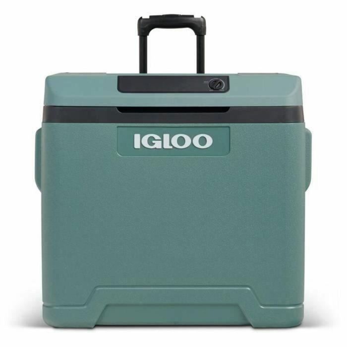 Igloo IGL7315091531979 Nevera Eléctrica, Doble Voltaje 12V y 230V, 42 Litros, Serie Abeto 5