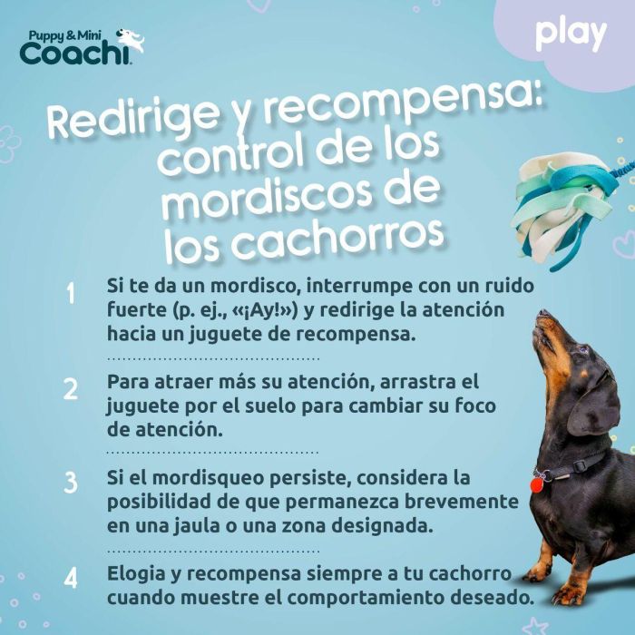 Arnés para Perro Coachi 1 Arnés para Perro Coachi 1