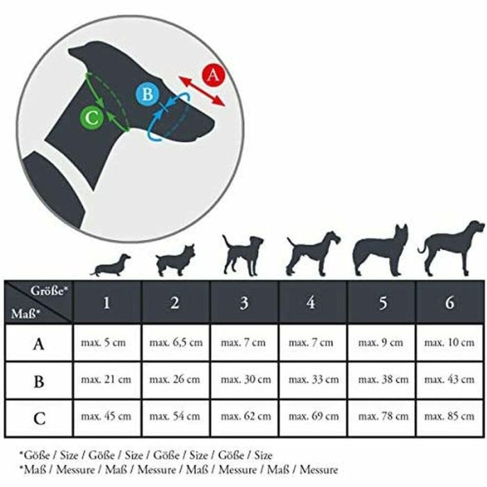 Hunter Bozal Albury 3, Protección Anti-Cebos Envenenados Removible, Plástico Acolchado, Medidas A:6.3 B:21.5 C:62cm, Negro para Perro 7 Hunter Bozal Albury 3, Protección Anti-Cebos Envenenados Removible, Plástico Acolchado, Medidas A:6.3 B:21.5 C:62cm, Negro para Perro 7