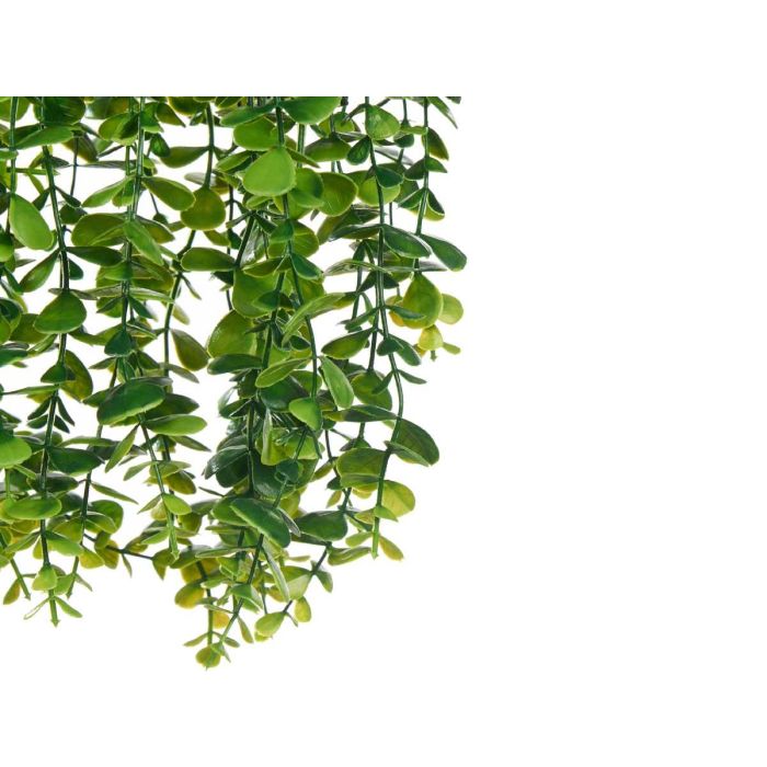 Maceta Plastico Regadera Colgar Verde Con Soga Ibergarden 24X55CM (6 Unidades) 2 Maceta Plastico Regadera Colgar Verde Con Soga Ibergarden 24X55CM (6 Unidades) 2