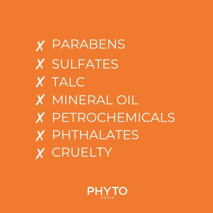 Phyto PLAGE champú rehidratante aftersun para cabello dañado por el sol, 250 ml 4
