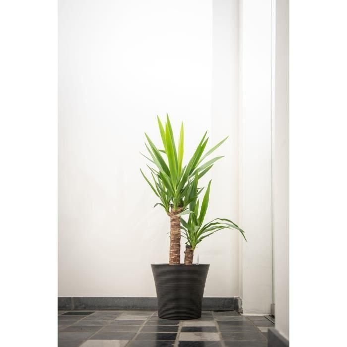 Maceta - GARDEN ID - Green Care Sense Negro-Antracita - 30 x 27 cm - 10 años de garantía - 100% reciclado - Resistencia a los rayos UV y a las heladas 4 Maceta - GARDEN ID - Green Care Sense Negro-Antracita - 30 x 27 cm - 10 años de garantía - 100% reciclado - Resistencia a los rayos UV y a las heladas 4