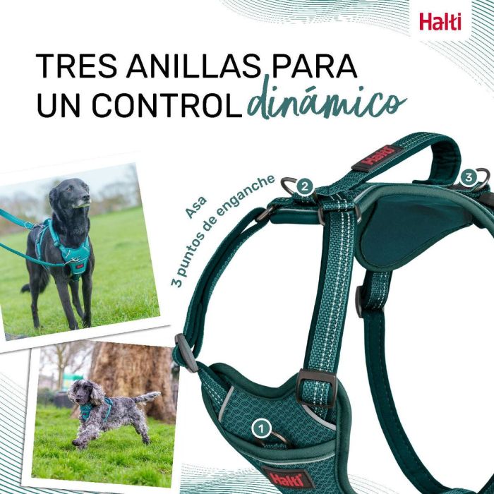 Halti Anatomy Arnés Turquesa S Cuerpo 39-56 cm 5 Halti Anatomy Arnés Turquesa S Cuerpo 39-56 cm 5