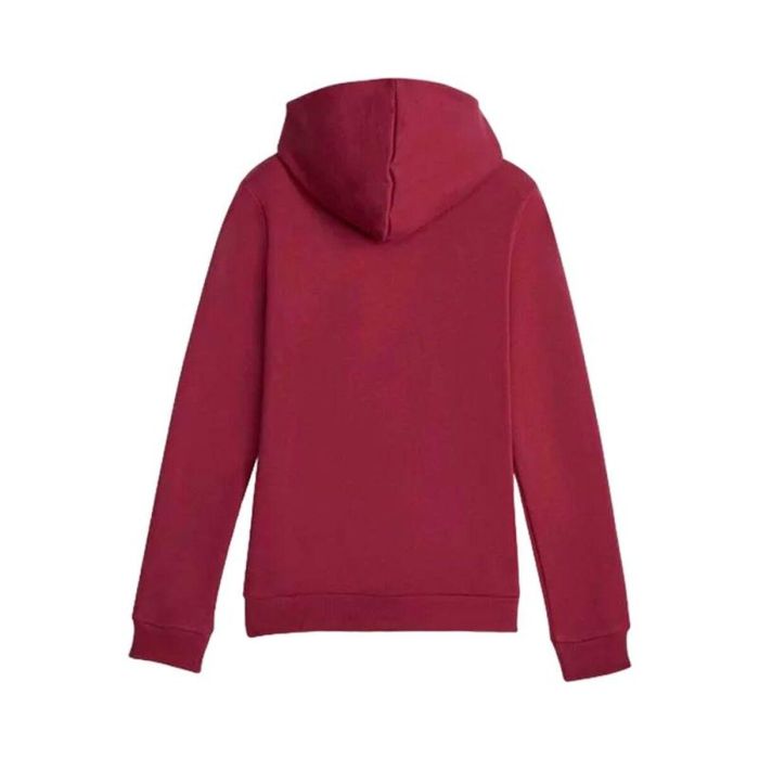 Sudadera con Capucha Niño Puma Ess Marrón
