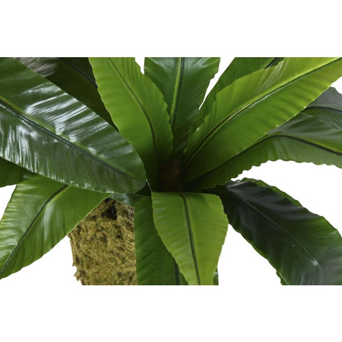 Planta Tropical DKD Home Decor Verde 60 x 150 x 60 cm (2 Unidades) 1 Planta Tropical DKD Home Decor Verde 60 x 150 x 60 cm (2 Unidades) 1