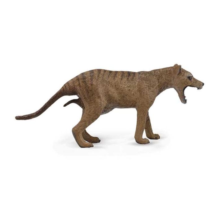 Collecta 88767 Thylacine Tigre de Tasmania Hembra - Figura Réplica Pintada a Mano Detallada Escala L (+3 años) Collecta 88767 Thylacine Tigre de Tasmania Hembra - Figura Réplica Pintada a Mano Detallada Escala L (+3 años)