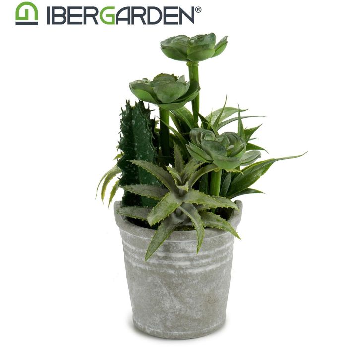 Maceta Cactus Plantas Redonda Surtido 2 Ibergarden 15X24CM (12 Unidades) 1 Maceta Cactus Plantas Redonda Surtido 2 Ibergarden 15X24CM (12 Unidades) 1