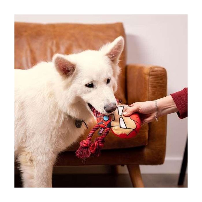 Cerdá Cuerda Dental para Perro Avengers Iron Man 13.0 x 11.0 x 18.0 cm 2 Cerdá Cuerda Dental para Perro Avengers Iron Man 13.0 x 11.0 x 18.0 cm 2