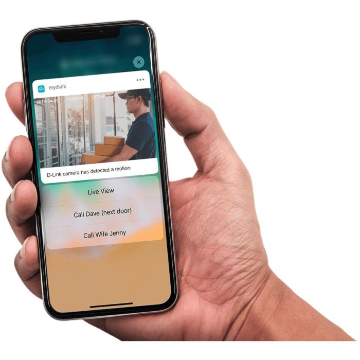 Videocámara de Vigilancia D-Link DCS-8620LH 1 Videocámara de Vigilancia D-Link DCS-8620LH 1