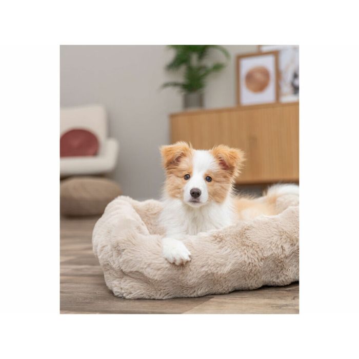 Cama para Perro Trixie Arena 60 × 50 cm 1