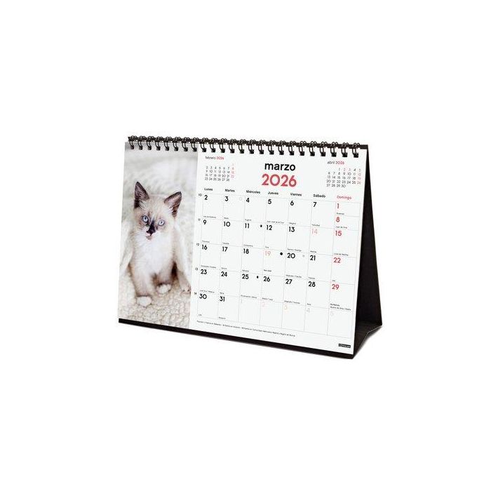 Finocam Calendario De Sobremesa Escritura S-210x150 mm Imágenes Gatitos 2026
