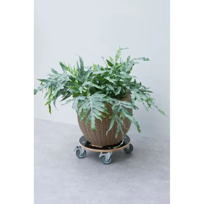 Nature NAT8711338702420 Portamacetas Cuadrado con Ruedas Madera FSC Carga Máxima 250 kg 1