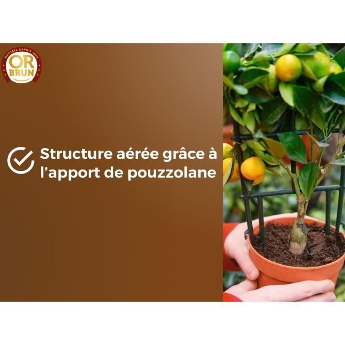 Tierra para cítricos y plantas mediterráneas - BROWN GOLD - OBRTAGR6U - 6L - Olivos, palmeras y cycas 3 Tierra para cítricos y plantas mediterráneas - BROWN GOLD - OBRTAGR6U - 6L - Olivos, palmeras y cycas 3