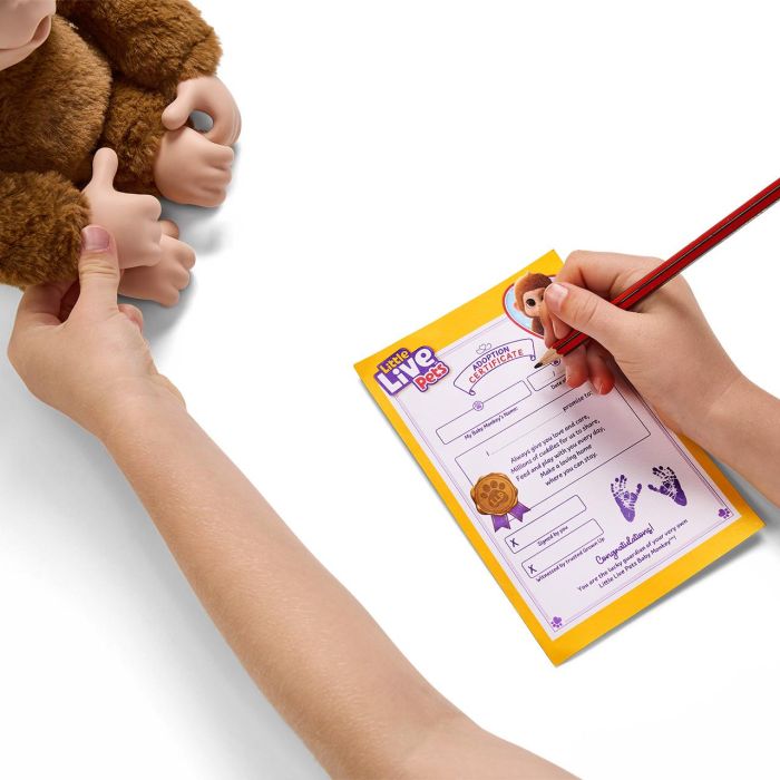 Moose 26558 Little Live Pets My Baby Monkey Interactivo, Reacciona al Tacto con Sonidos, +4 años 5
