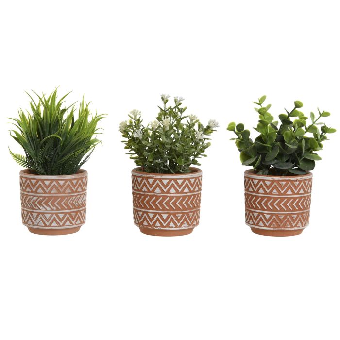 Planta DKD Home Decor Terracota Verde 12 x 17 x 12 cm (3 Unidades)